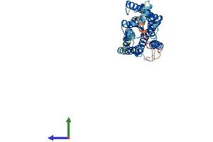AlphaFold protein structure predicition of Mouse Recombinant Opn1mw Protein, UniprotID O35599 (OPN1MW Protein (AA 1-359) (His tag))