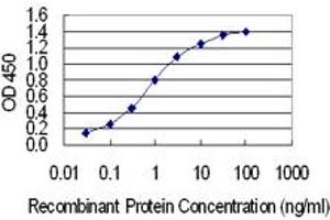 Detection limit for recombinant GST tagged IRX1 is 0. (IRX1 antibody  (AA 424-479))