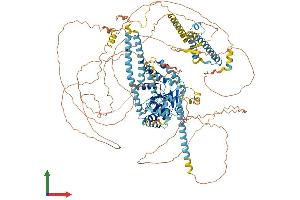Protein Structure (PS) image for DNA Repair Protein Complementing XP-G Cells (ERCC5) (AA 1-1186) protein (His tag) (ABIN7553857)