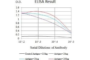 Black line: Control Antigen (100 ng),Purple line: Antigen (10 ng), Blue line: Antigen (50 ng), Red line:Antigen (100 ng) (VPREB1 antibody  (AA 20-145))