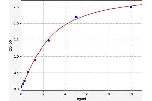 Typical standard curve (NFKBIA ELISA Kit)