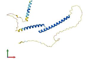 AlphaFold protein structure predicition of Mouse Recombinant Mxi1 Protein, UniprotID P50540 (MXI1 Protein (AA 1-228) (His tag))