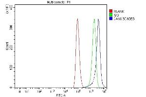 Flow Cytometry analysis of A549 cells using anti-Calnexin/CANX antibody (ABIN7602289).