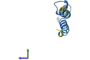 Protein Structure (PS) image for Phosphatidylinositol Glycan Anchor Biosynthesis, Class Y (PIGY) (AA 1-71) protein (Fc Tag) (ABIN7562789)