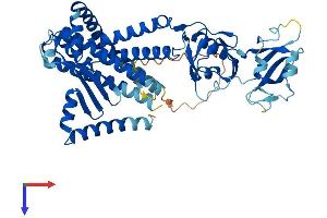AlphaFold protein structure predicition of Mouse Recombinant Mbtps2 Protein, UniprotID Q8CHX6 (MBTPS2 Protein (AA 1-515) (His tag))