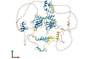 AlphaFold protein structure predicition of Mouse Recombinant Rbm5 Protein, UniprotID Q91YE7 (RBM5 Protein (AA 1-815) (His tag))