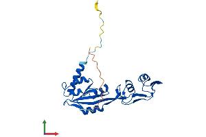 AlphaFold protein structure predicition of Human Recombinant MRTO4 Protein, UniprotID Q9UKD2