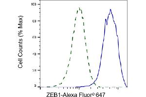 Validation of ZEB1 knockdown using flow cytometry.
