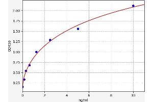 CD19 ELISA Kit