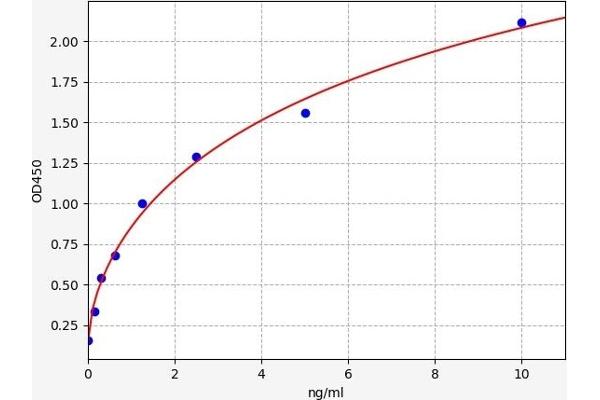 CD19 ELISA Kit