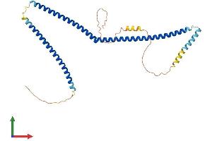 AlphaFold protein structure predicition of Mouse Recombinant Ccdc83 Protein, UniprotID Q9D4V3 (CCDC83 Protein (AA 1-305) (His tag))