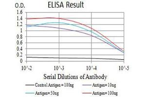 Black line: Control Antigen (100 ng),Purple line: Antigen (10 ng), Blue line: Antigen (50 ng), Red line:Antigen (100 ng) (BAX antibody  (AA 13-160))