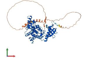 AlphaFold protein structure predicition of Human Recombinant CLK4 Protein, UniprotID Q9HAZ1