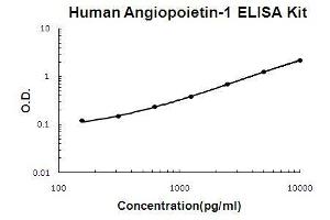 Human Angiopoietin-1 PicoKine ELISA Kit standard curve (Angiopoietin 1 ELISA Kit)
