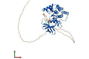 Protein Structure (PS) image for Casein Kinase 1, gamma 2 (CSNK1G2) (AA 1-415) protein (His tag) (ABIN7554281)