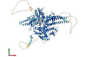 AlphaFold protein structure predicition of Mouse Recombinant Plcb2 Protein, UniprotID A3KGF7 (Phospholipase C beta 2 Protein (AA 1-1181) (His tag))