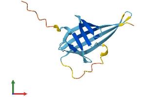 AlphaFold protein structure predicition of Mouse Recombinant Tcl1b3 Protein, UniprotID P56842