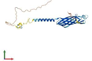 AlphaFold protein structure predicition of Human Recombinant TMEM106A Protein, UniprotID Q96A25