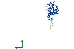 AlphaFold protein structure predicition of Human Recombinant CLEC1A Protein, UniprotID Q8NC01 (CLEC1A Protein (AA 1-280) (His tag))