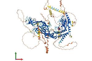 Protein Structure (PS) image for Ubiquitin-Conjugating Enzyme E2O (UBE2O) (AA 1-1292) protein (His tag) (ABIN7555919)