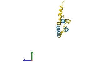 Protein Structure (PS) image for Ninjurin 2 (NINJ2) (AA 1-142) protein (His tag) (ABIN7549834)