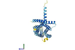 AlphaFold protein structure predicition of Mouse Recombinant Tas2r124 Protein, UniprotID Q7M718 (TAS2R124 Protein (AA 1-309) (His tag))
