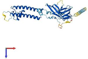AlphaFold protein structure predicition of Human Recombinant KCNJ15 Protein, UniprotID Q99712 (KCNJ15 Protein (AA 1-375) (His tag))