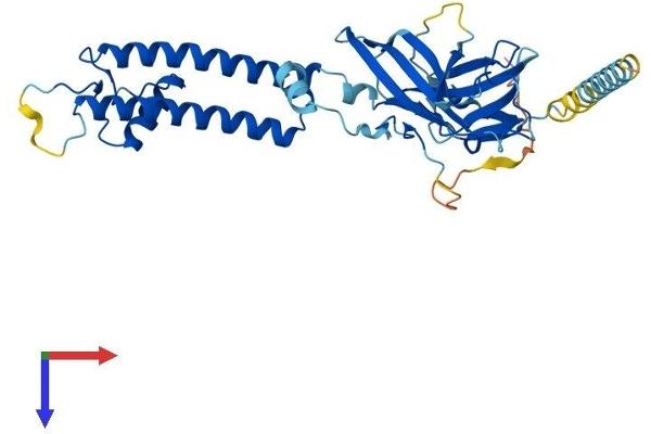KCNJ15 Protein (AA 1-375) (His tag)