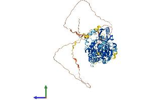 AlphaFold protein structure predicition of Human Recombinant NSUN7 Protein, UniprotID Q8NE18 (NSUN7 Protein (AA 1-718) (His tag))