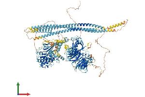 AlphaFold protein structure predicition of Mouse Recombinant Cdc42bpg Protein, UniprotID Q80UW5