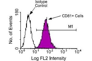 Flow Cytometry (FACS) image for anti-CD81 (CD81) antibody (PE) (ABIN371126)