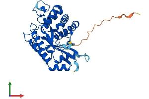 Protein Structure (PS) image for YdjC Homolog (YdjC) (AA 1-323) protein (His tag) (ABIN7545213)