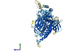 AlphaFold protein structure predicition of Mouse Recombinant Rasal1 Protein, UniprotID Q9Z268