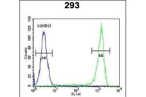 FL Antibody (C-term) (ABIN651674 and ABIN2840355) flow cytometric analysis of 293 cells (right histogram) compared to a negative control cell (left histogram). (AAGAB antibody  (C-Term))