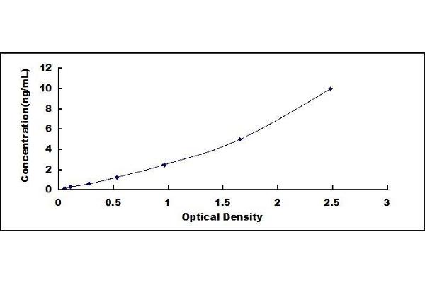 Caspase 3 ELISA Kit