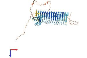 AlphaFold protein structure predicition of Human Recombinant DAZ2 Protein, UniprotID Q13117