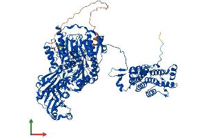 Protein Structure (PS) image for ATP Citrate Lyase (ACLY) (AA 1-1101) protein (His tag) (ABIN7551855)