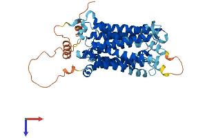 SLC29A3 Protein (AA 1-475) (His tag)
