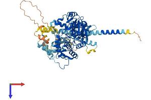 PPEF1 Protein (AA 1-650) (His tag)