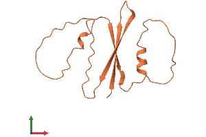 AlphaFold protein structure predicition of Human Recombinant FAM223B Protein, UniprotID A6NKX1 (FAM223B Protein (AA 1-122) (His tag))