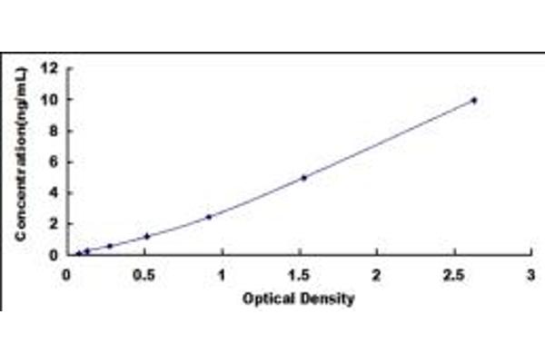 AADAT ELISA Kit