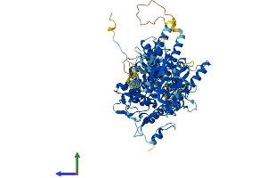 Protein Structure (PS) image for Protein-O-Mannosyltransferase 1 (POMT1) (AA 1-747) protein (His tag) (ABIN7555015)