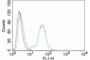 Flow cytometry testing of BT474 cells.