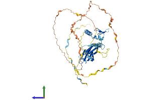 Protein Structure (PS) image for Splicing Factor 3a, Subunit 2, 66kDa (SF3A2) (AA 1-464) protein (His tag) (ABIN7546116)