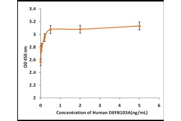 DEFB103A Protéine