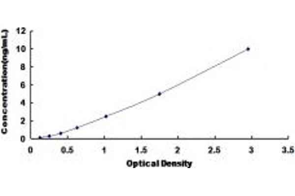 NFIX ELISA Kit