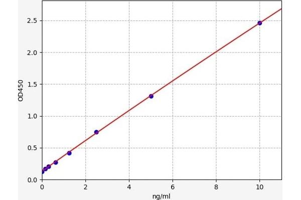 CX3CR1 ELISA Kit