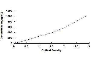 Troponin T (Tn T) ELISA Kit