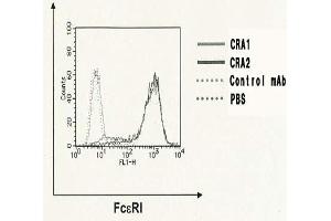 Flow Cytometry (FACS) image for anti-Fc Fragment of IgE Receptor Ia (FCER1A) (AA 85-172) antibody (FITC) (ABIN2451978)