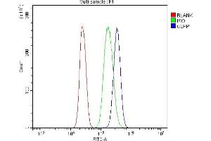 Flow Cytometry analysis of U937 cells using anti-CLPP antibody (ABIN5693176). (CLPP antibody  (AA 184-247))